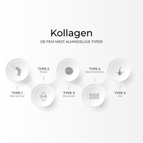 Den komplette guide til de forskellige typer af kollagen